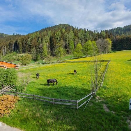 Huberhof 8 By Alpenidyll Apartments Шладминг Екстериор снимка